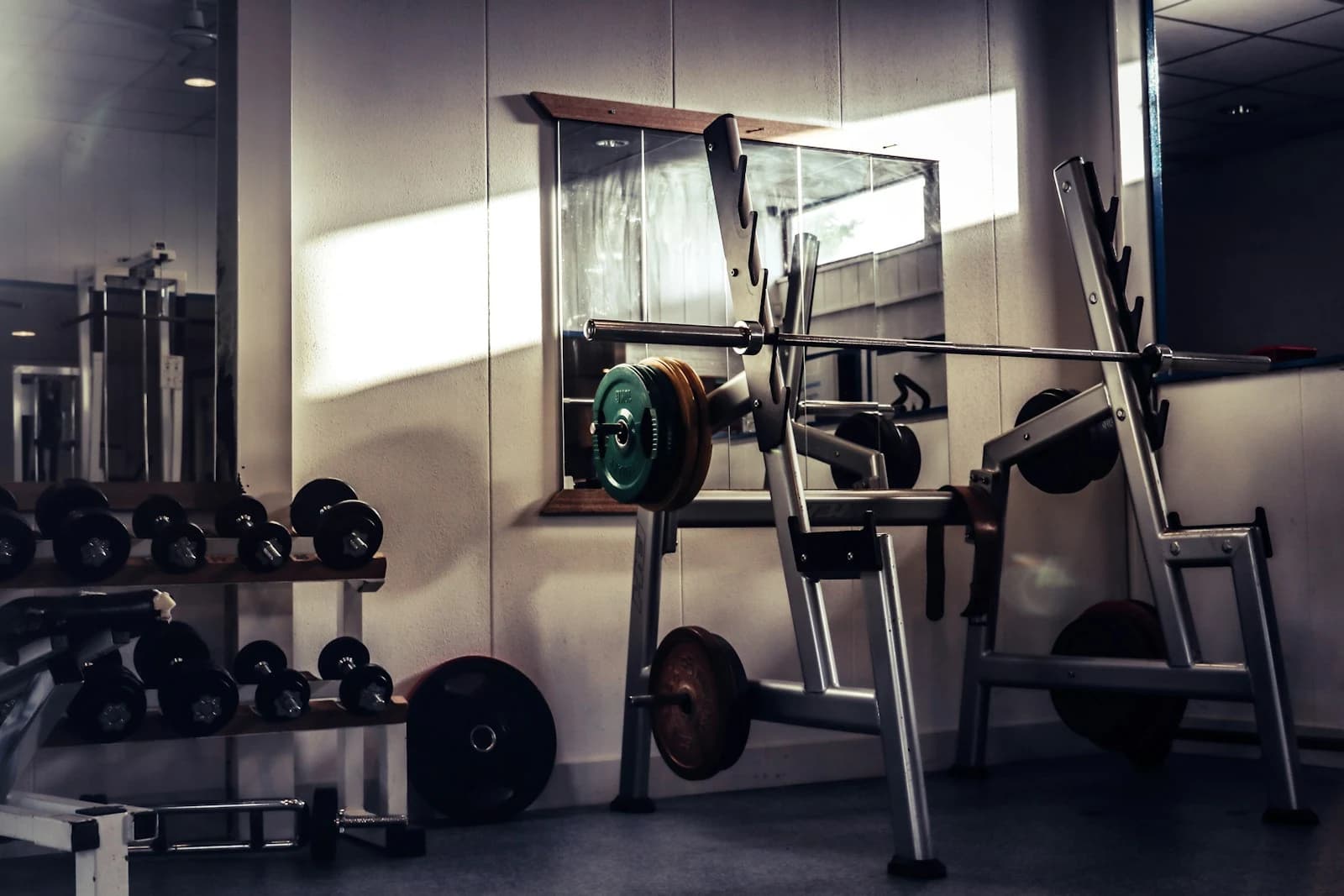 Loaded barbell racked on a squat stand in a strength gym, lit by a band of sunlight